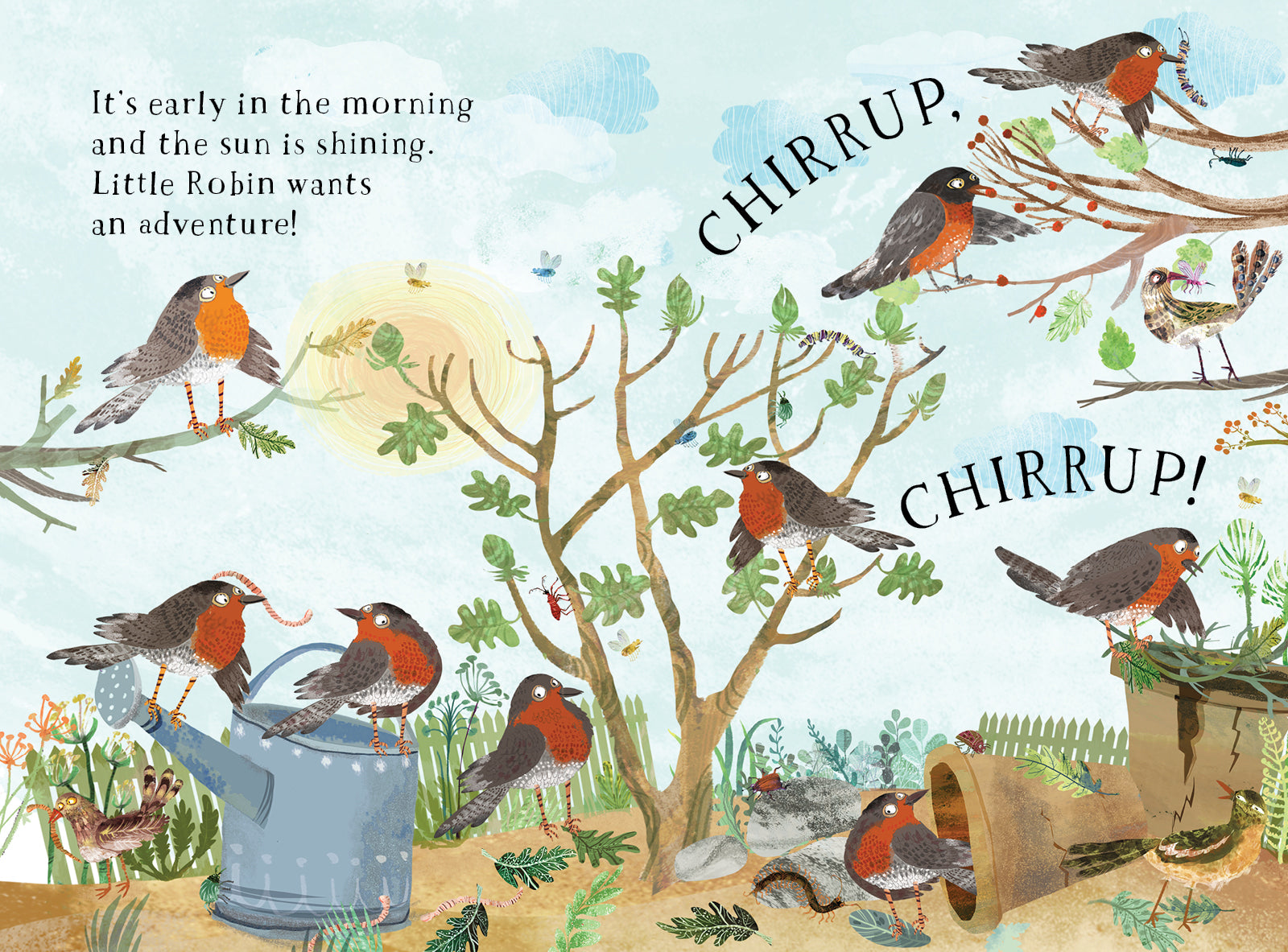 Little Robin's Book of Birds - Yuval Zommer