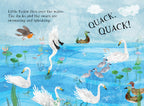 Little Robin's Book of Birds - Yuval Zommer