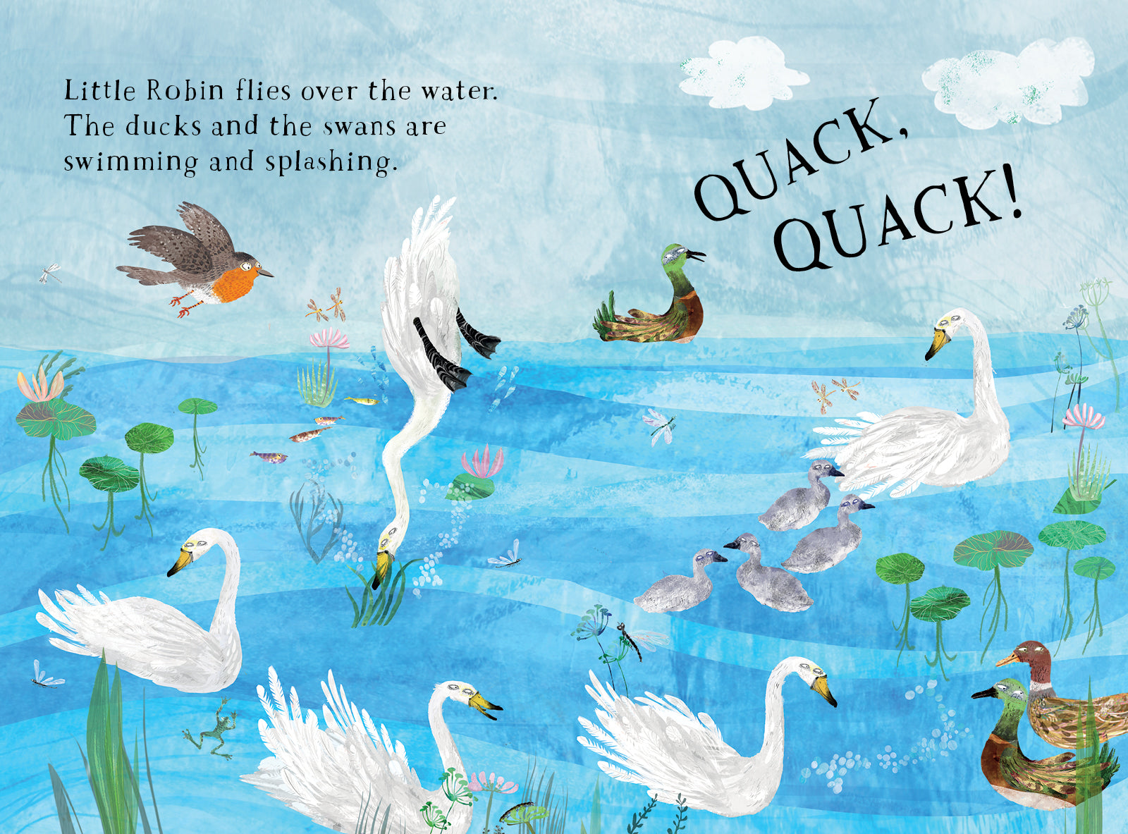 Little Robin's Book of Birds - Yuval Zommer