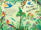 Little Robin's Book of Birds - Yuval Zommer