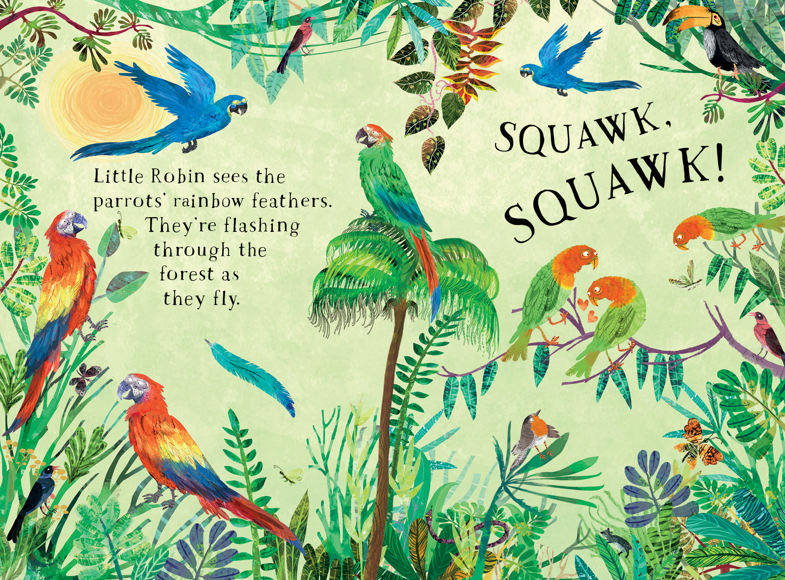 Little Robin's Book of Birds - Yuval Zommer