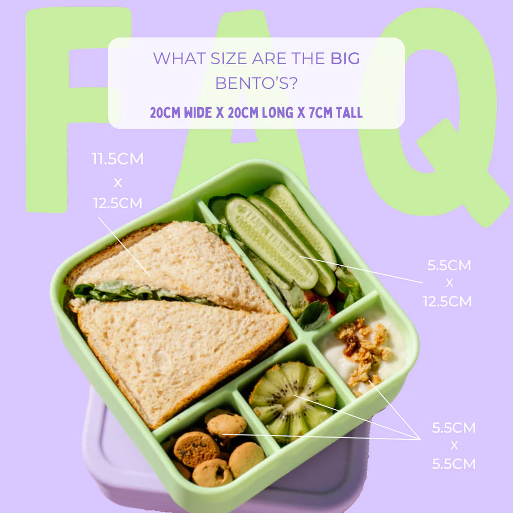 The BIG Bento | Silicone Lunchbox