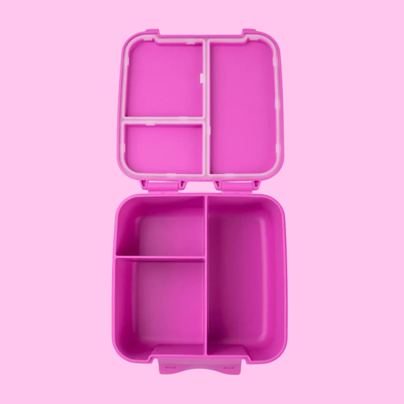 Fuchsia Bite Lunchbox - Montiico