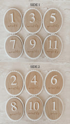 Scallop Baby Milestone Plaque Set - Blossom & Pear