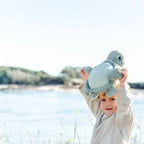 Tyler Turtle Soft Toy - OB Designs