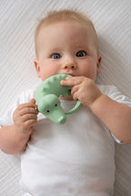 Crocodile Natural Rubber Rattle & Teether/Bath Toy - Tikiri