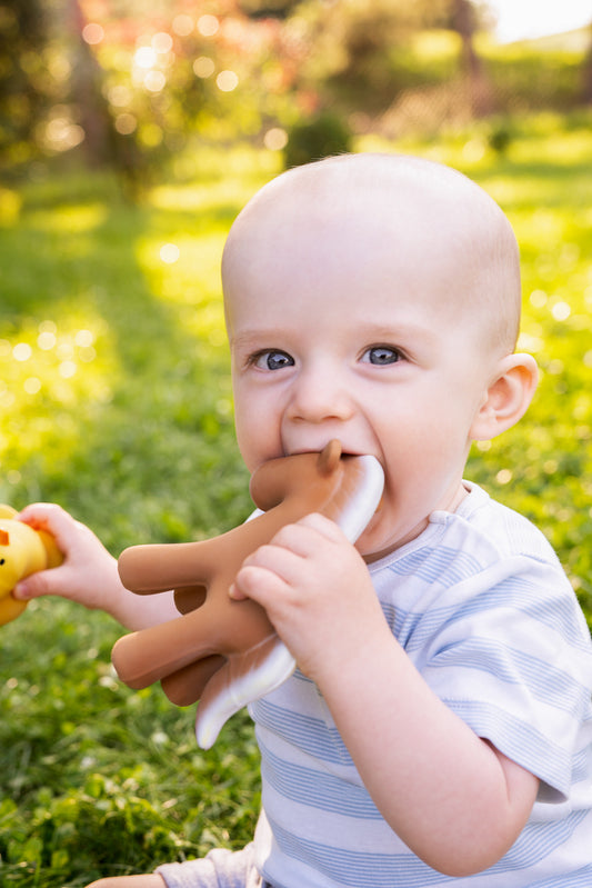 Horse Natural Rubber Rattle & Teether/Bath Toy - Tikiri