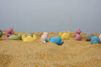 Seahorse Natural Rubber Rattle & Teether/Bath Toy - Tikiri