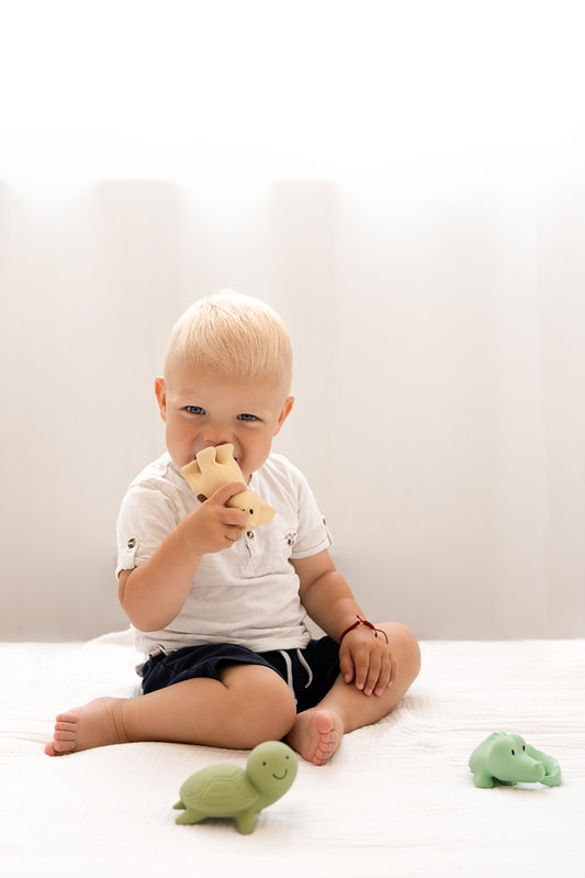 Turtle Natural Rubber Rattle & Teether/Bath Toy - Tikiri
