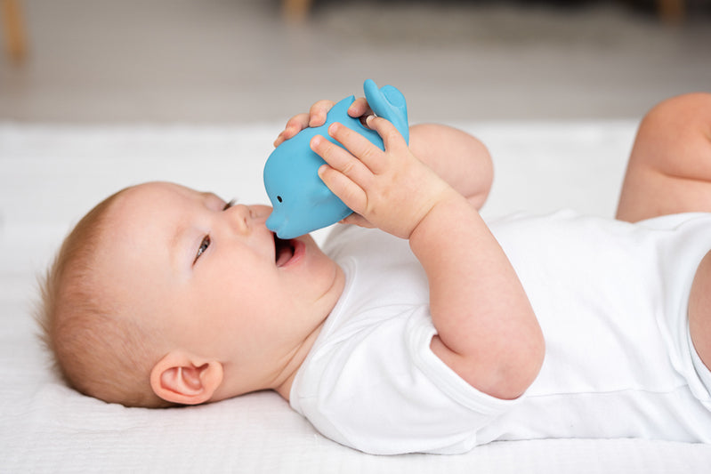 Dolphin Natural Rubber Rattle & Teether/Bath Toy - Tikiri