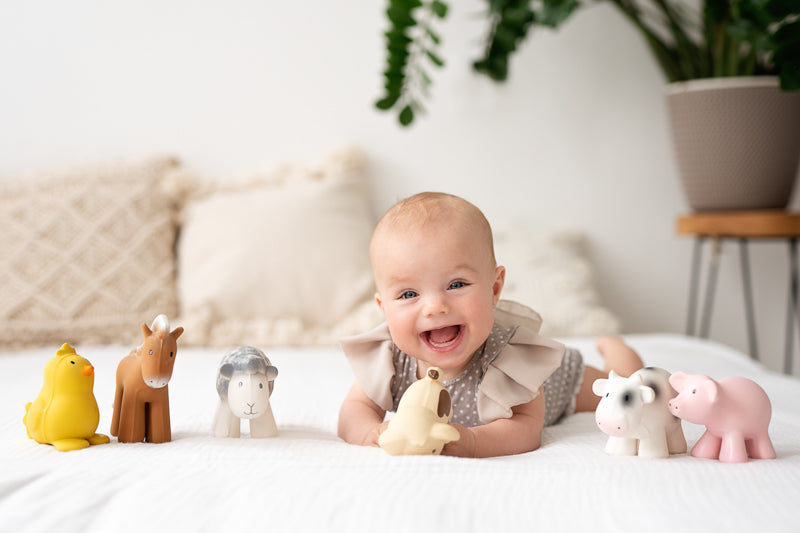Farm (Set of 6) Rubber Rattle & Teether/Bath Toys - Tikiri
