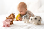 Farm (Set of 6) Rubber Rattle & Teether/Bath Toys - Tikiri