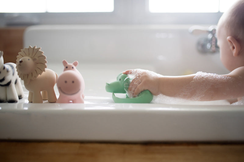 Zoo (Set of 6) Rubber Rattle & Teether/Bath Toys - Tikiri