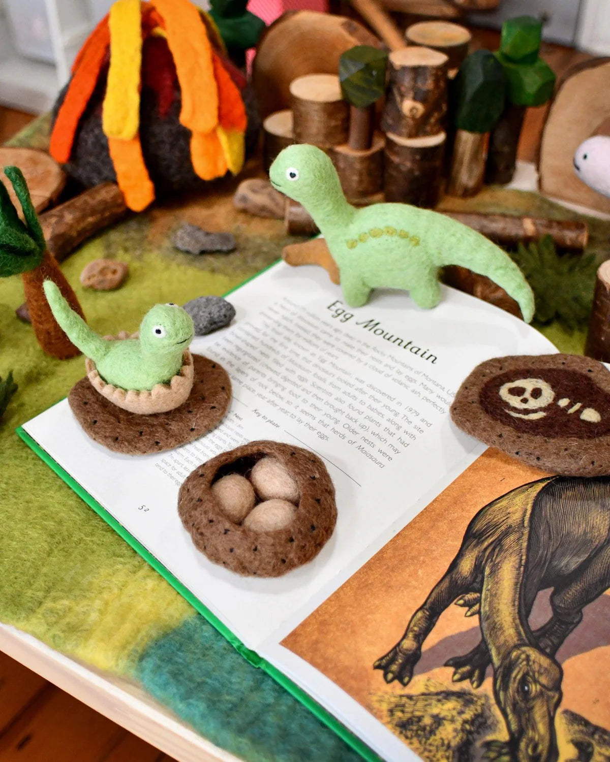 Life Stages of Brontosaurus Dinosaur Felt Set - Tara Treasures