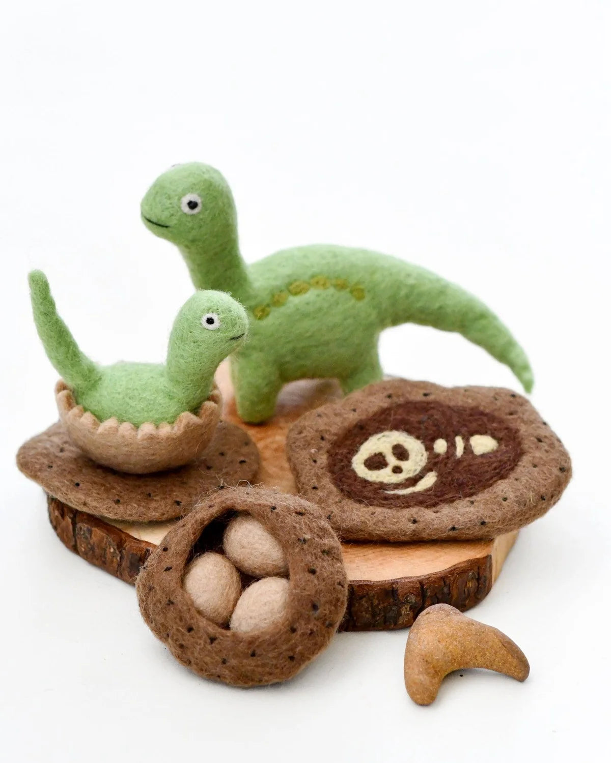 Life Stages of Brontosaurus Dinosaur Felt Set - Tara Treasures