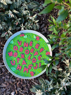 Little Ladybug Letter Sensory Play Coins - Honey Hollow