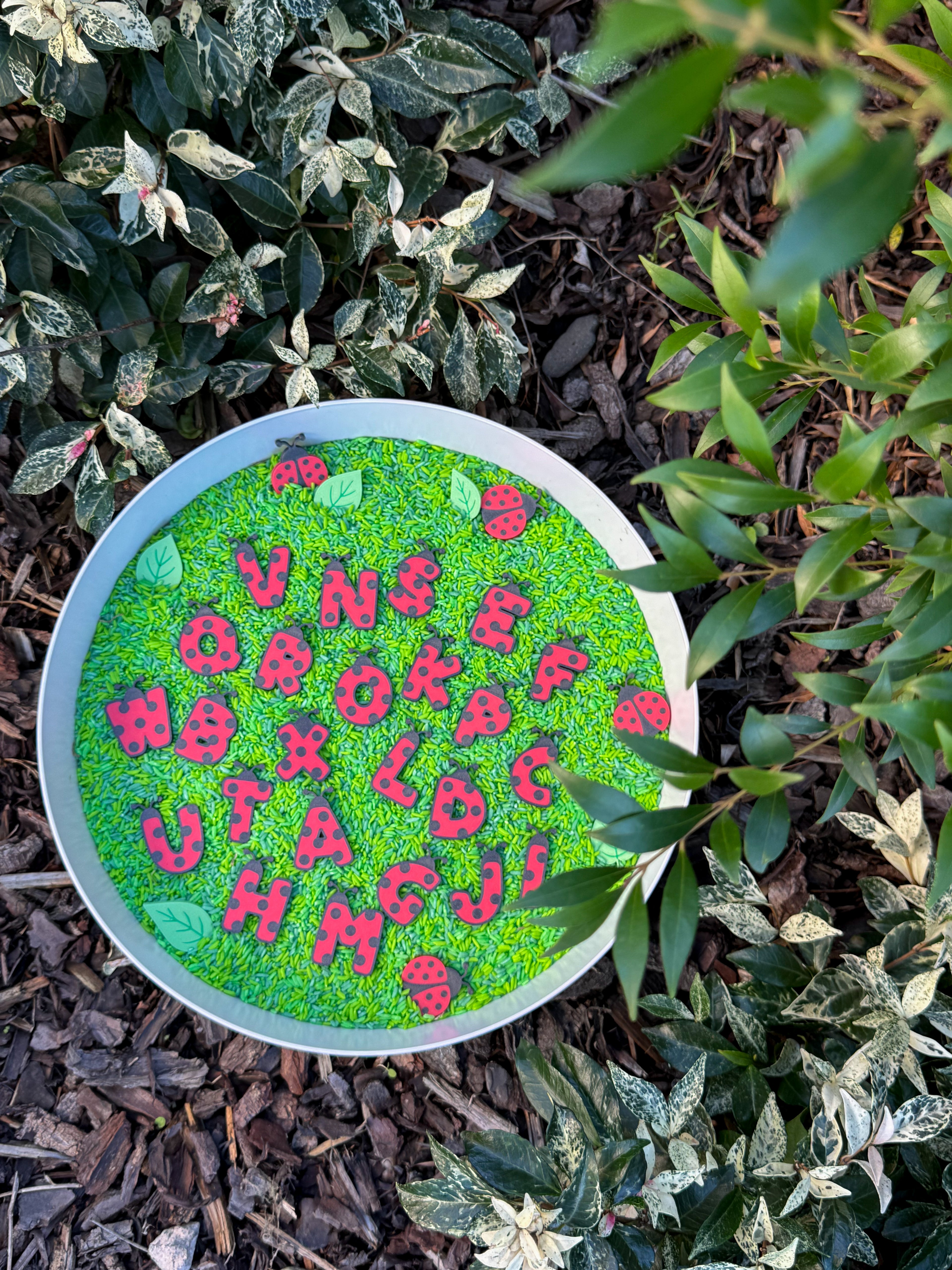 Little Ladybug Letter Sensory Play Coins - Honey Hollow