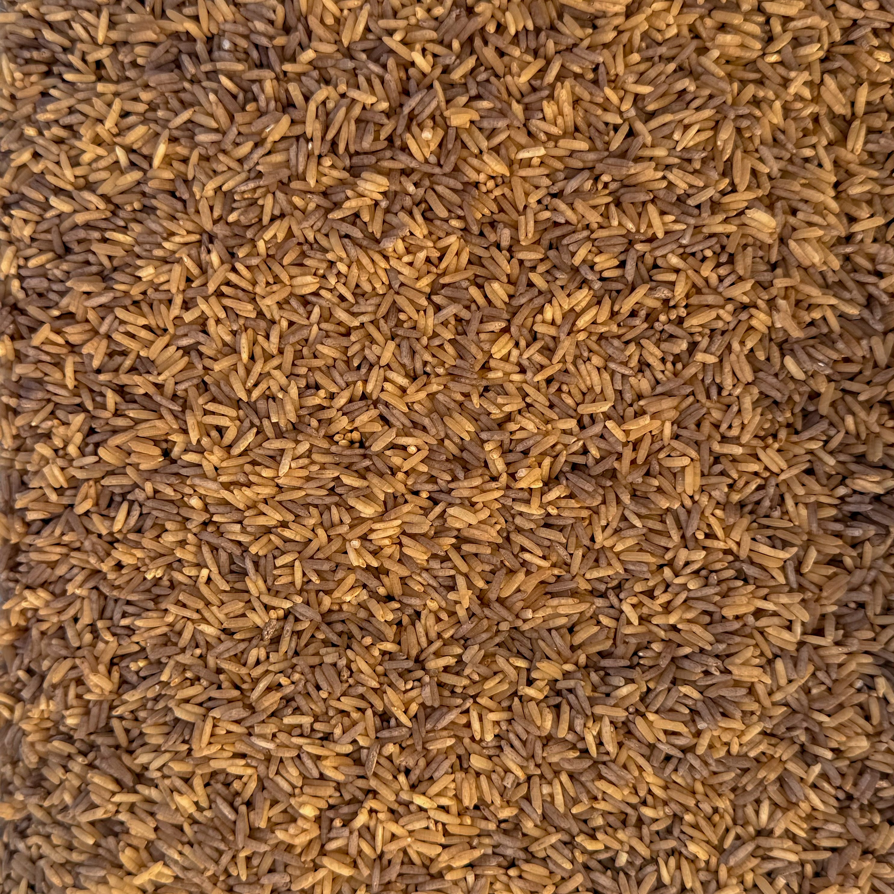 Forest Floor Brown Rice Sensory Base - Honey Hollow