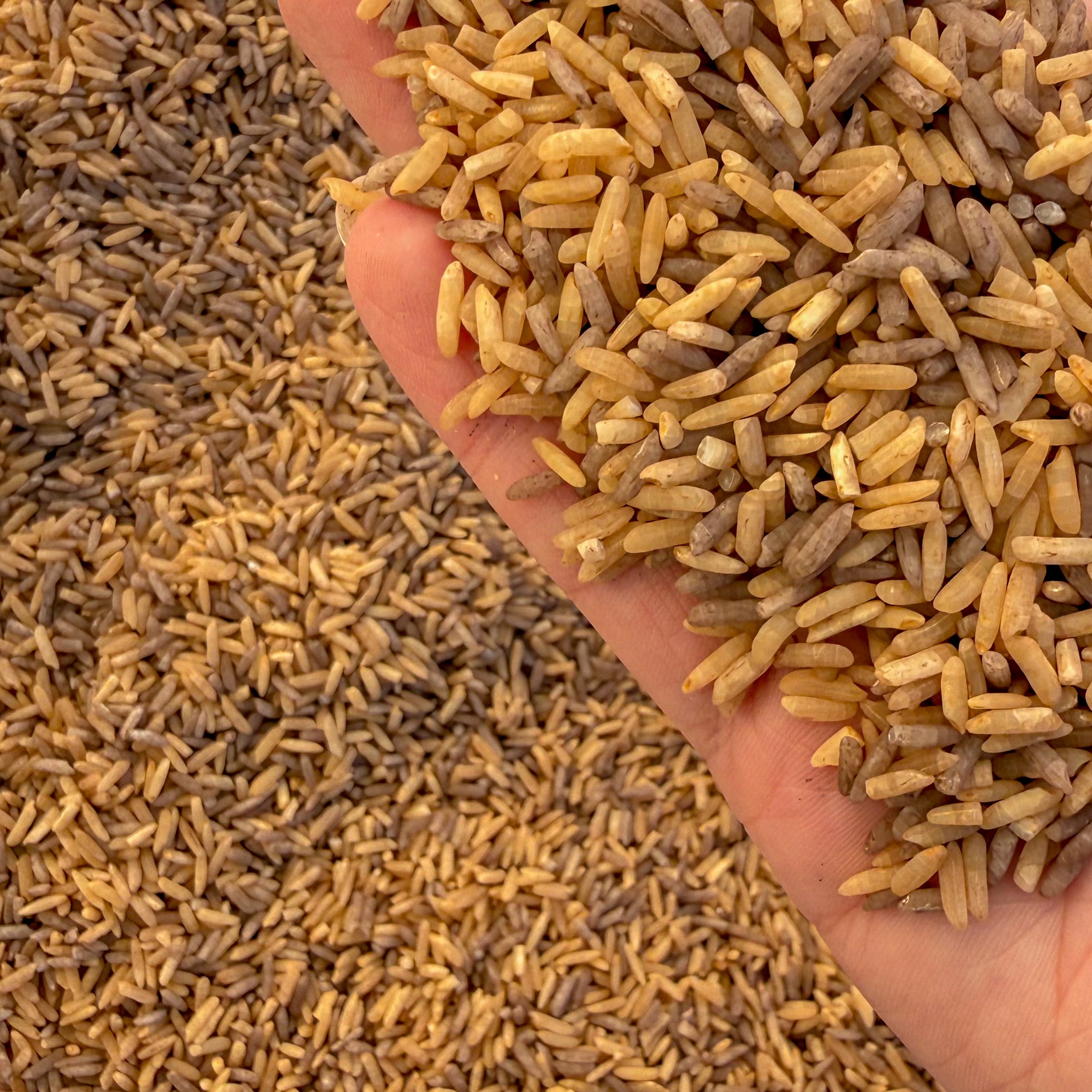Forest Floor Brown Rice Sensory Base - Honey Hollow