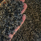Volcanic Valley Black Rice Sensory Base - Honey Hollow