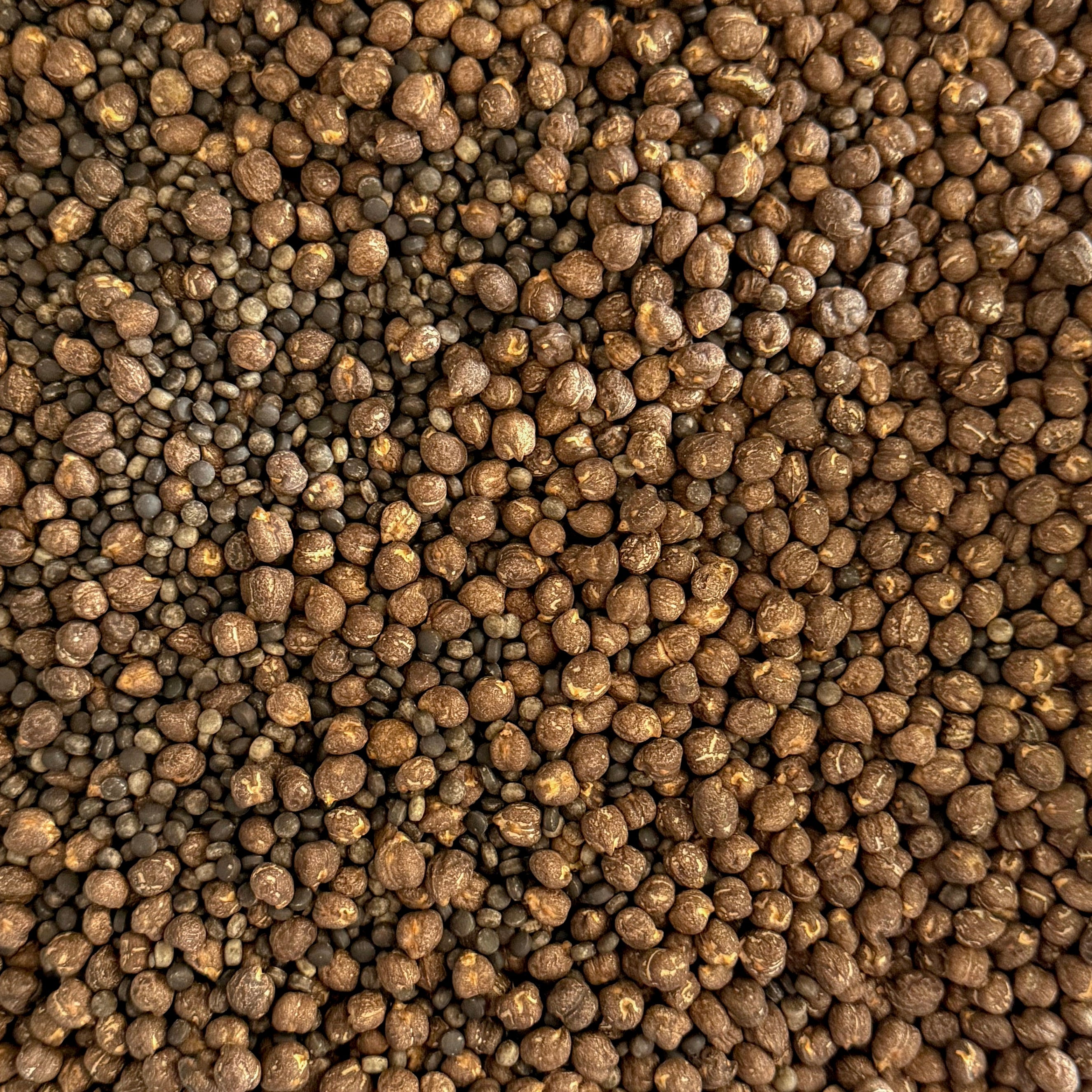 Woodland Soil Texture Blend Sensory Base - Honey Hollow