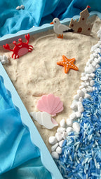 Seashell Shores Sensory Play Coins - Honey Hollow
