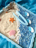 Seashell Shores Explorer Bundle - Honey Hollow