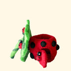 Mini Felt Ladyird Fairy Home – Himalayan Felt Co