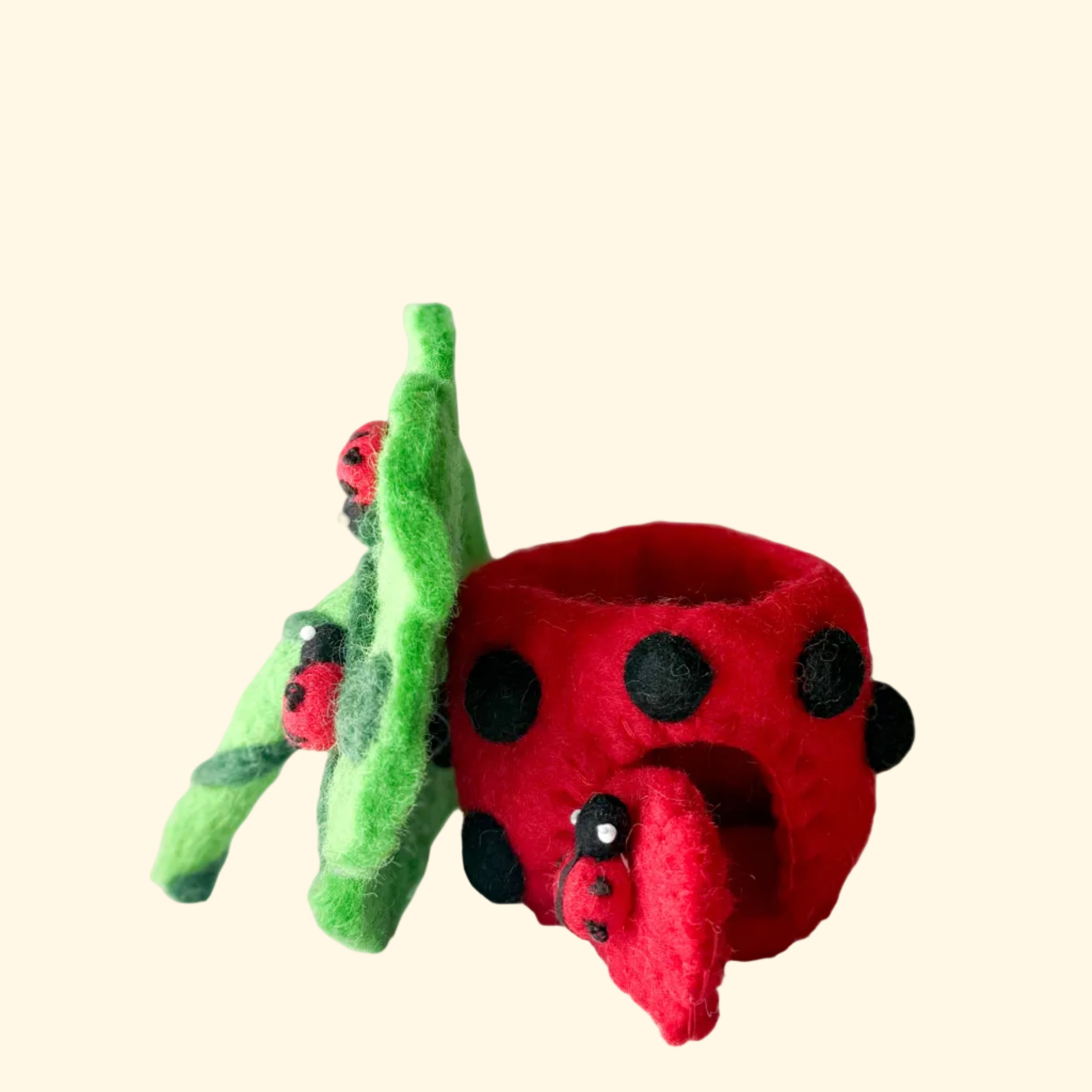 Mini Felt Ladyird Fairy Home – Himalayan Felt Co