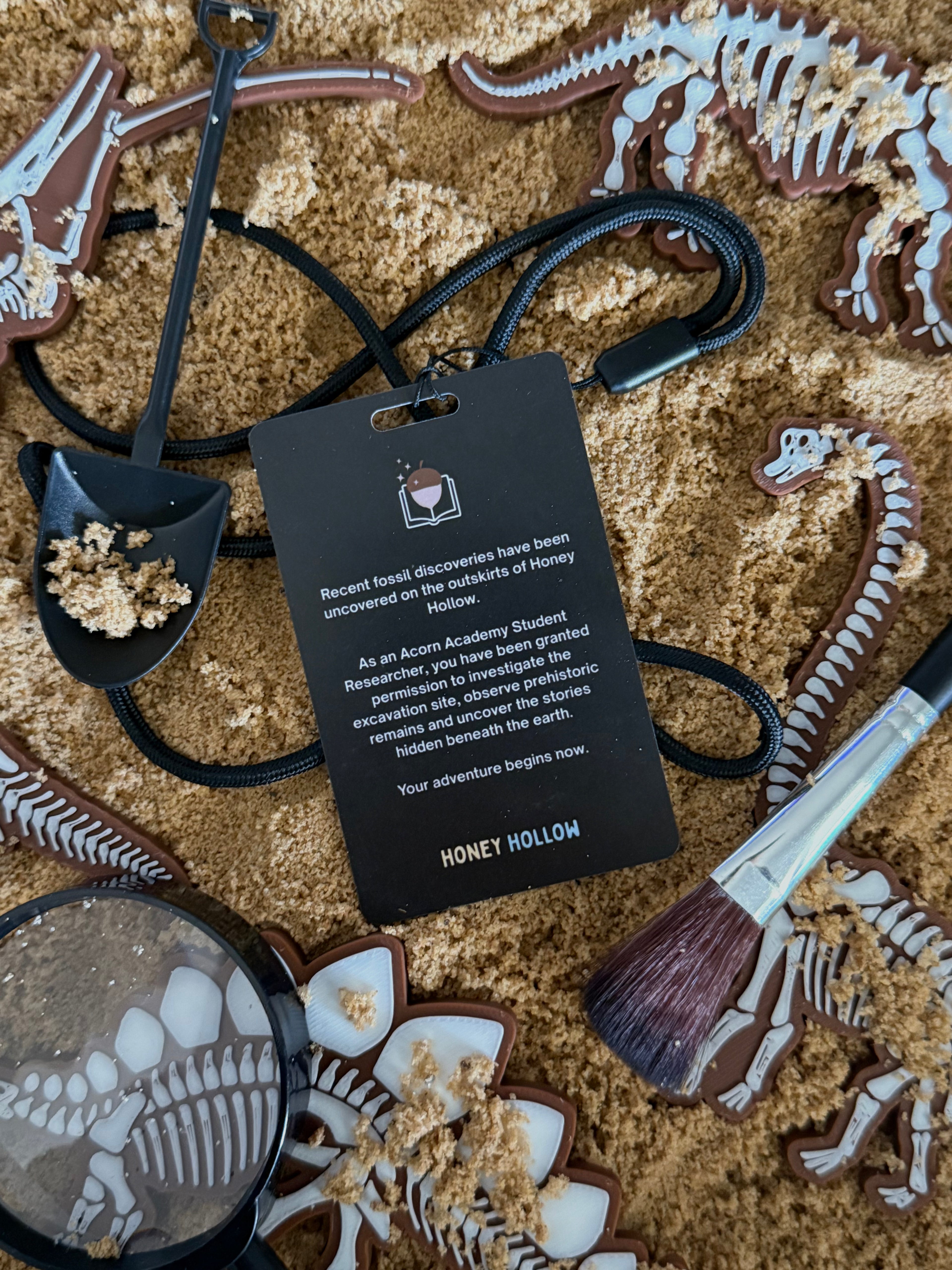 Dinosaur Fossil Discovery Set – Honey Hollow