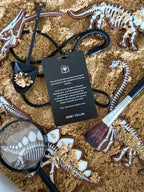 Palaeontology Field Trip Pass & Lanyard – Honey Hollow
