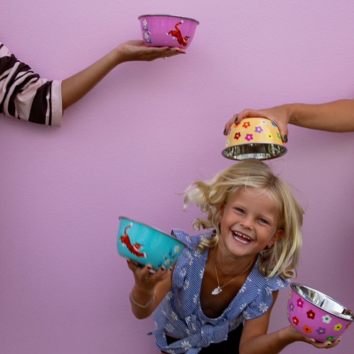 camping stainless steel bowls from picnic folk