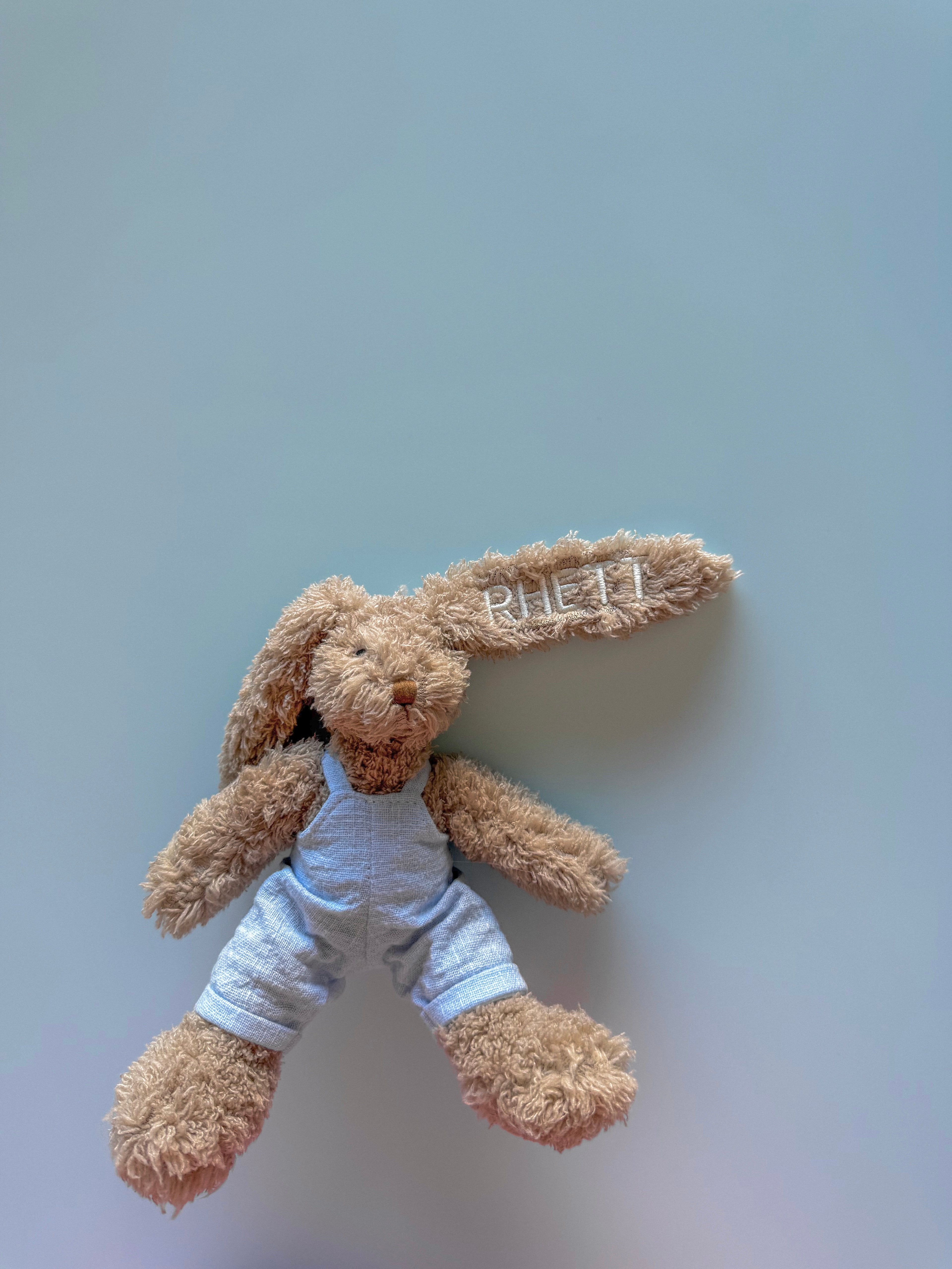 Baby Blue Honey Bunny - Nana Huchy