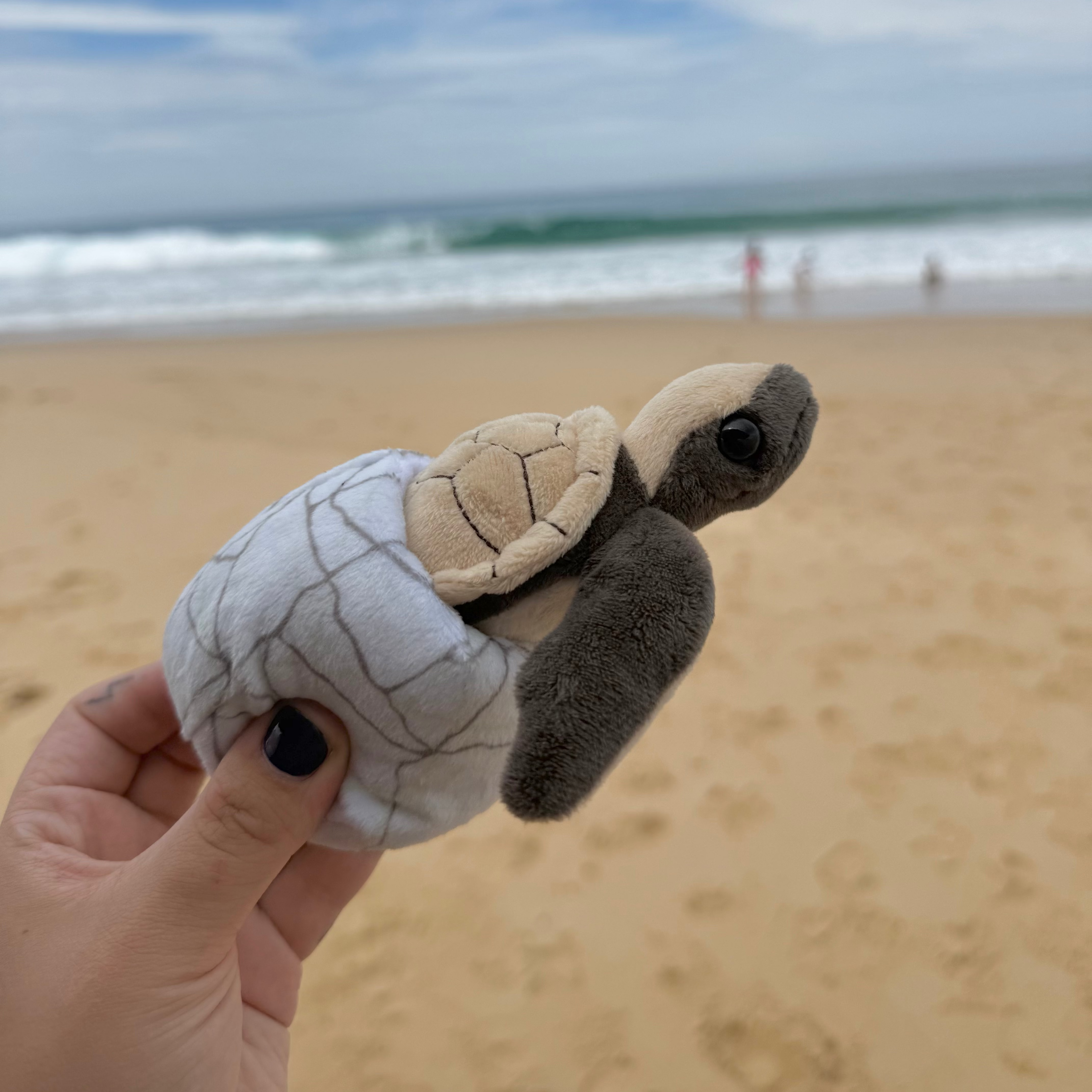 Wild Republic Hawksbill turtle removable hatchling plush with sensory egg