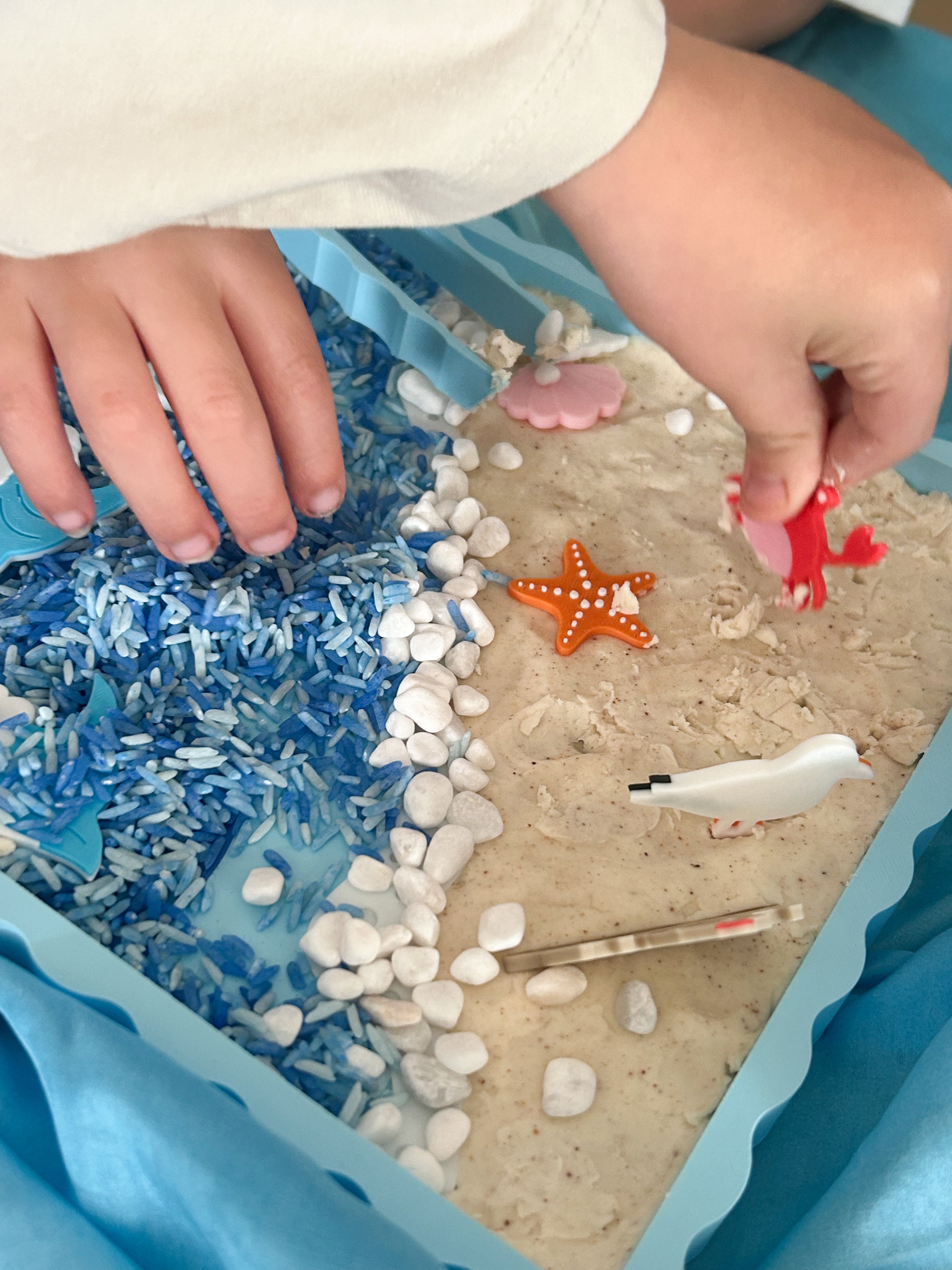 Seashell Shores Explorer Bundle - Honey Hollow