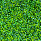 Mossy Meadow Green Sensory Base - Honey Hollow