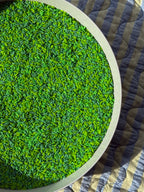 Mossy Meadow Green Sensory Base - Honey Hollow