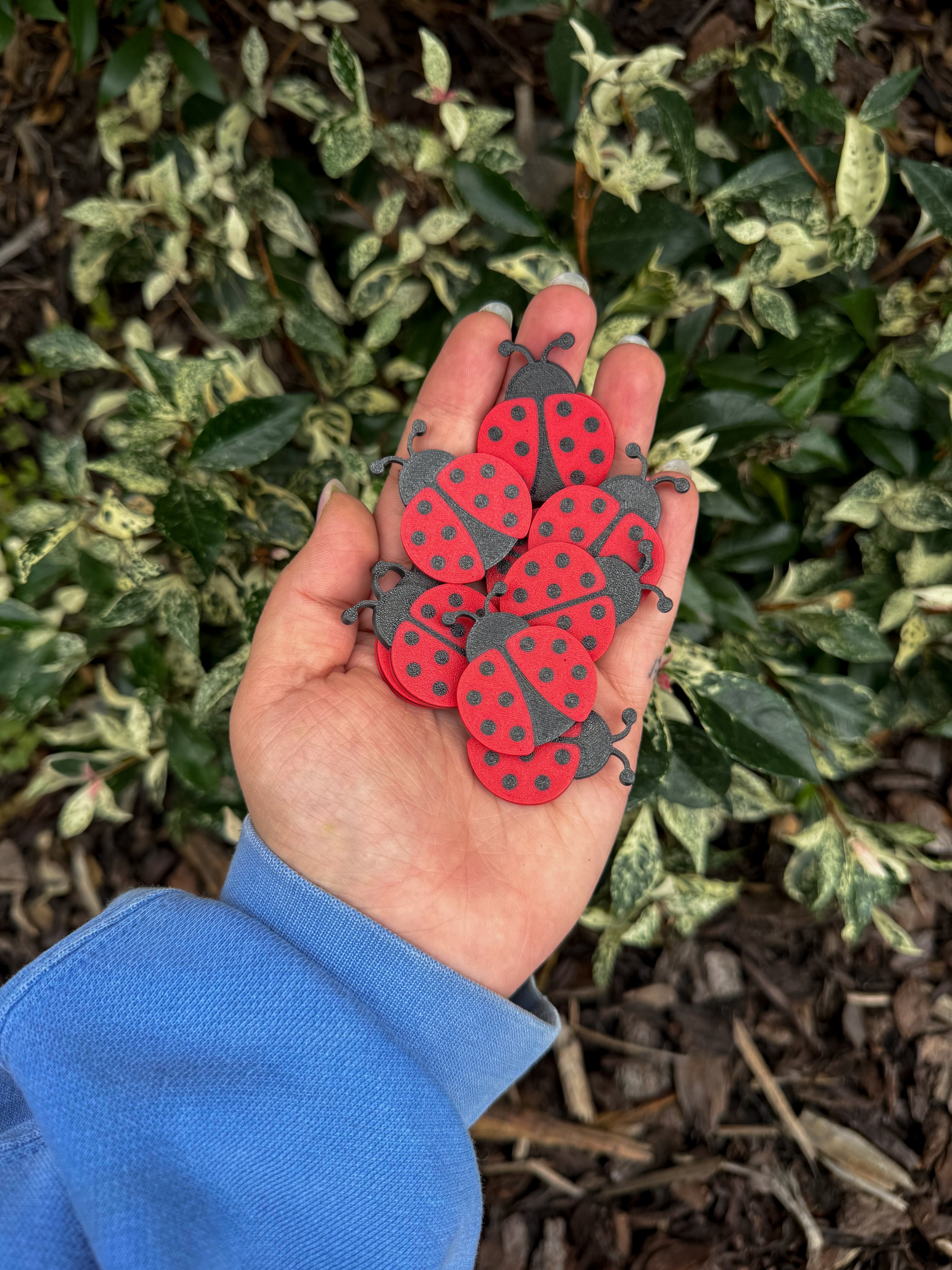Red ladybug sensory coins in open and closed wing designs