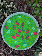 Acorn Academy Little Ladybug Number Set for hands-on learning through play