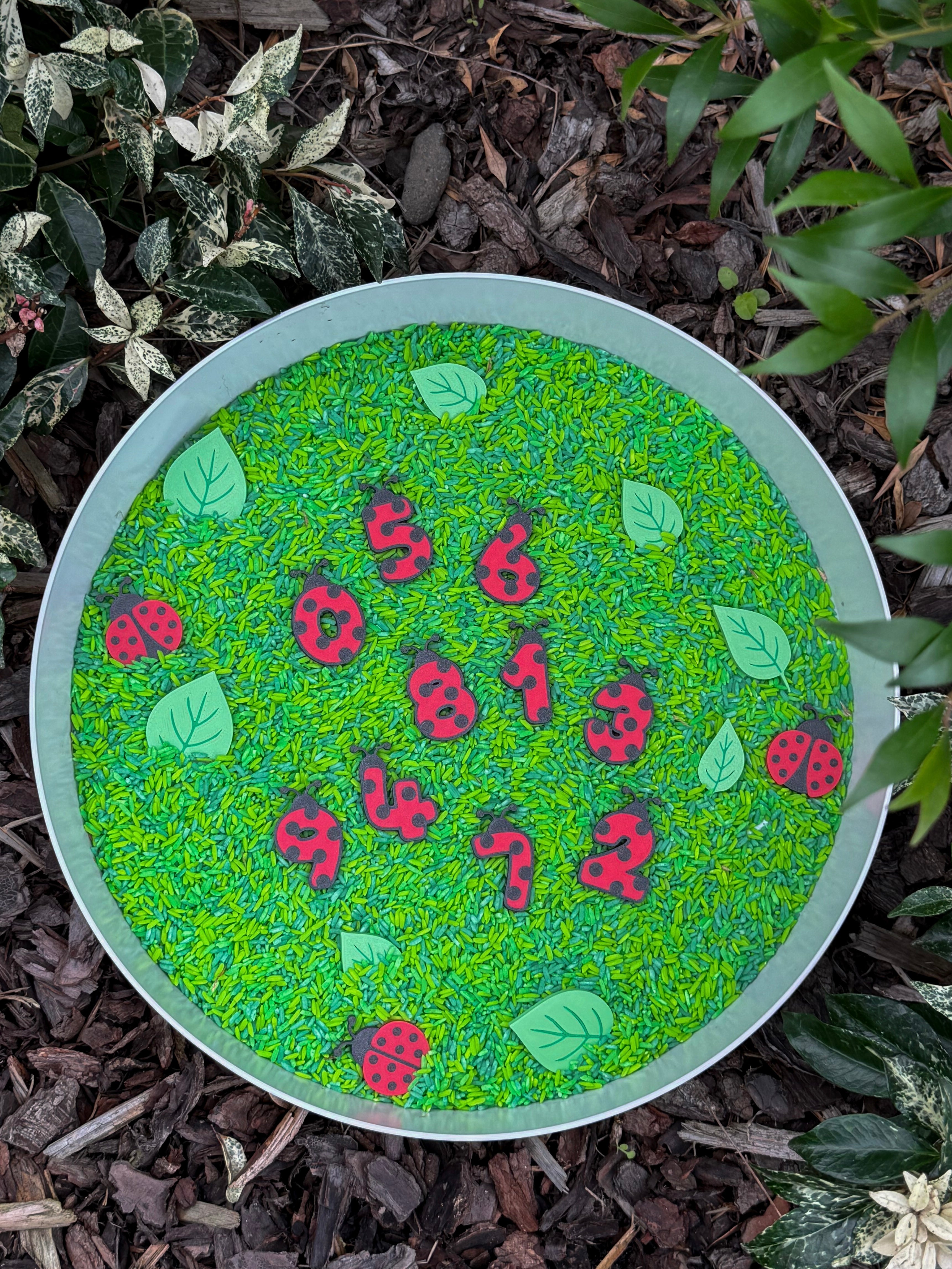 Acorn Academy Little Ladybug Number Set for hands-on learning through play