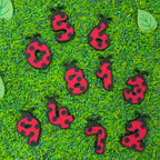 Honey Hollow ladybug number set for counting and number recognition