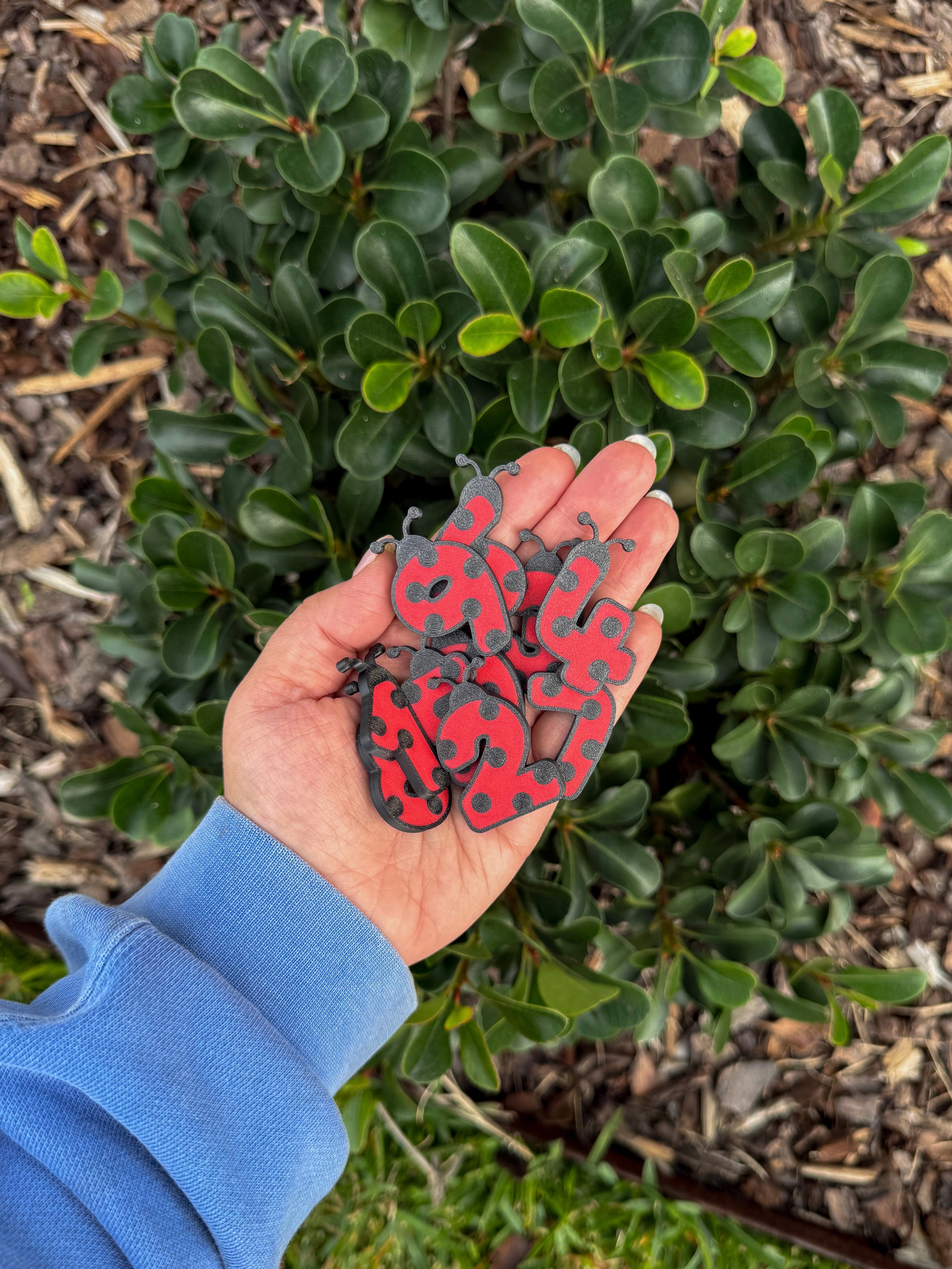Ladybug number learning set with numbers 0-9 for early maths activities