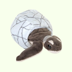 Green Sea Turtle Removable Hatchling & Sensory Egg - Wild Republic