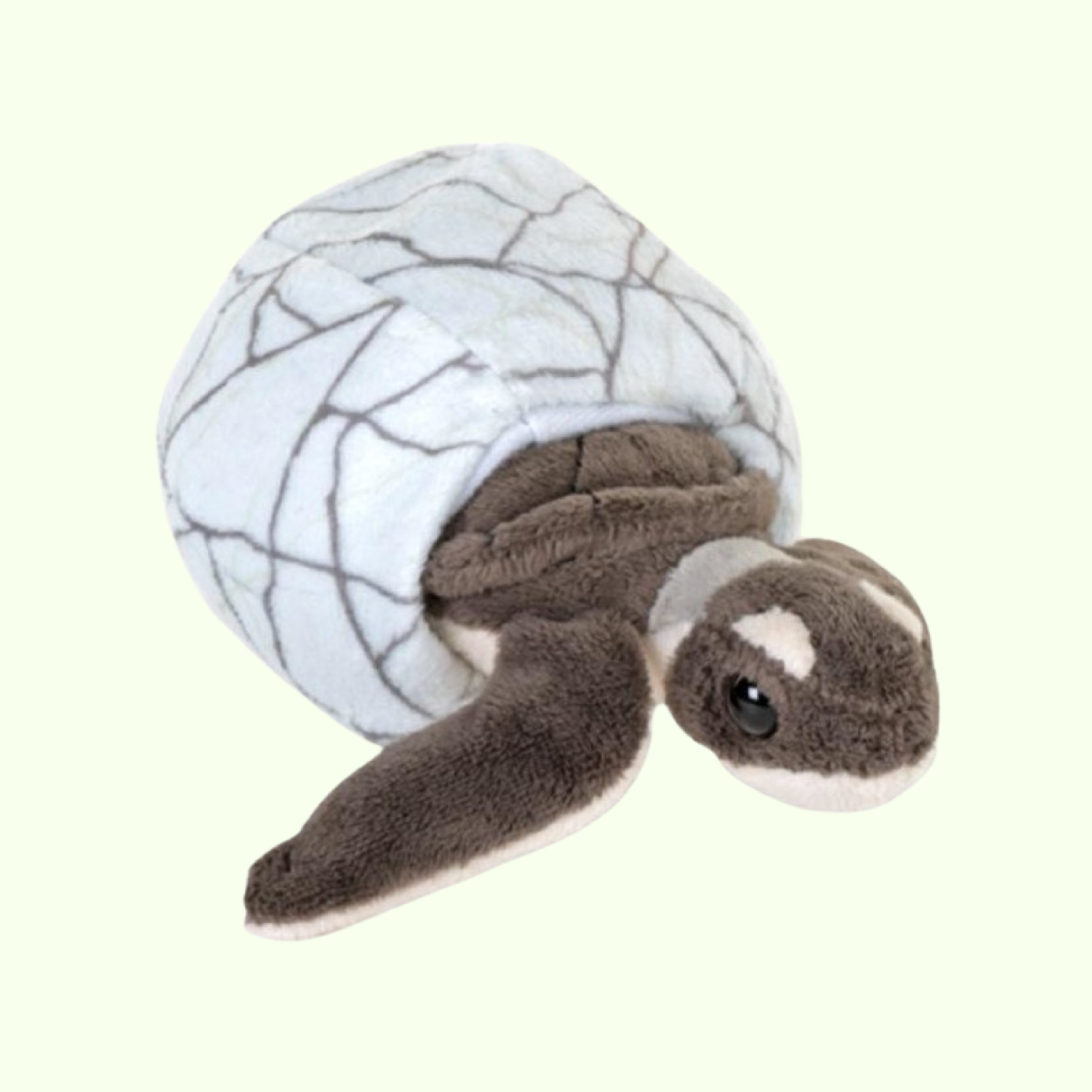 Green Sea Turtle Removable Hatchling & Sensory Egg - Wild Republic