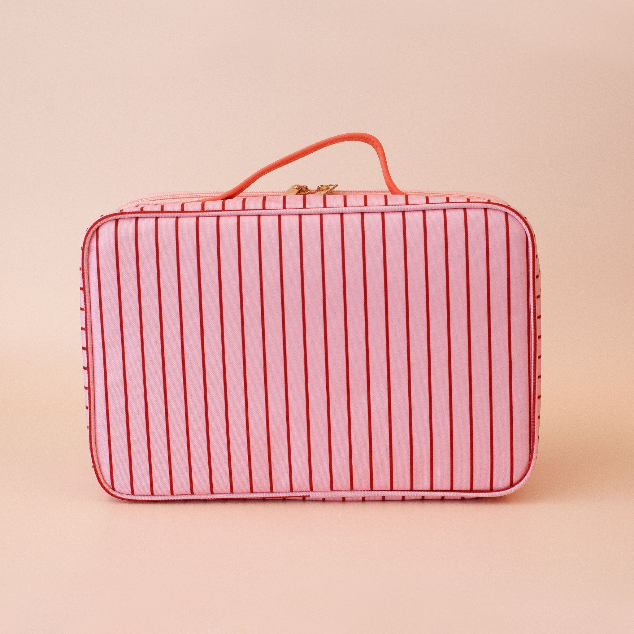Large Lunch Bag | Strawberry Stripe