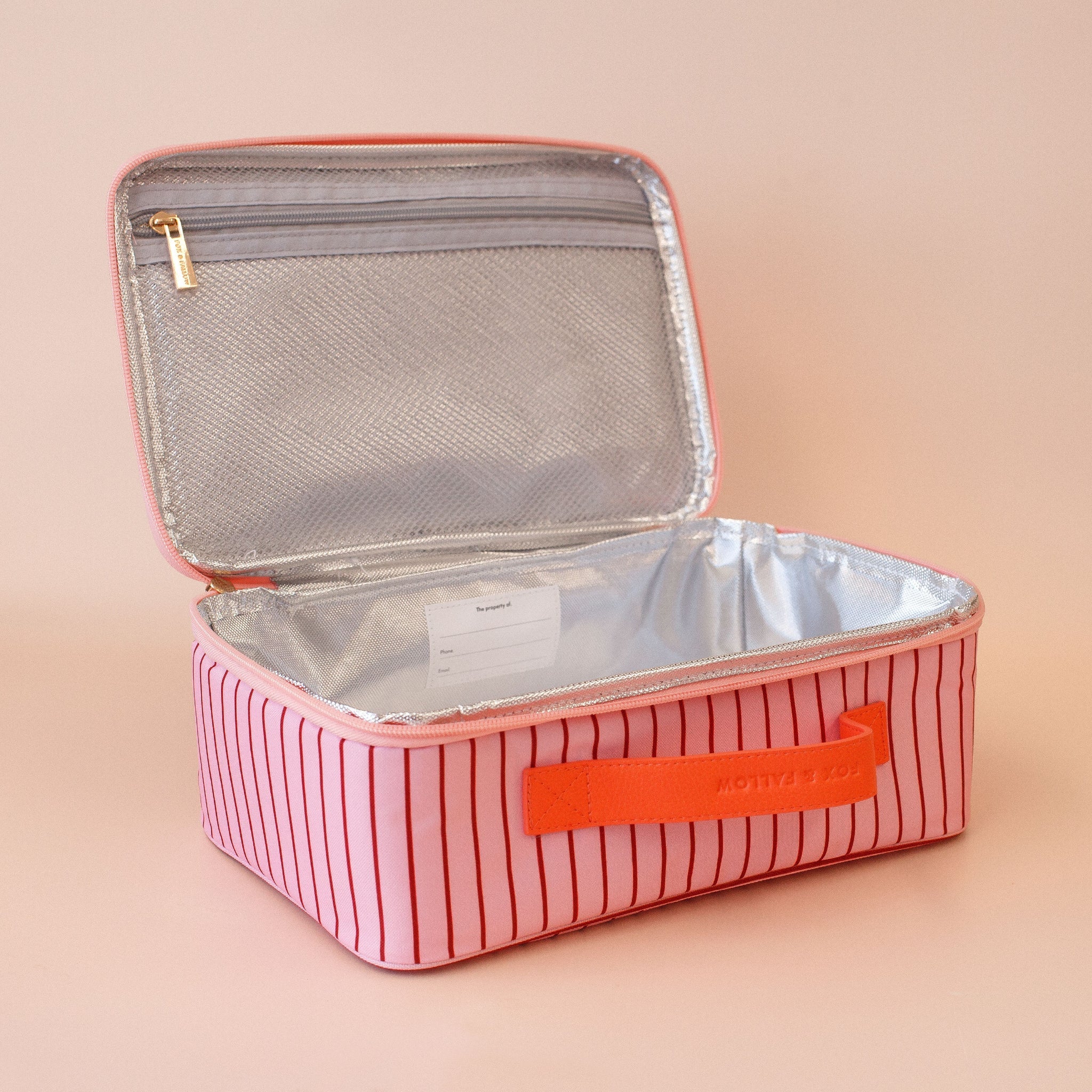 Large Lunch Bag | Strawberry Stripe