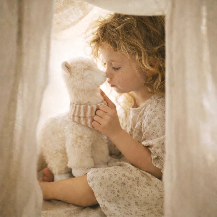 An Alpaca Called Alfie Crinkle Sensory Book - Little Lamb Kind