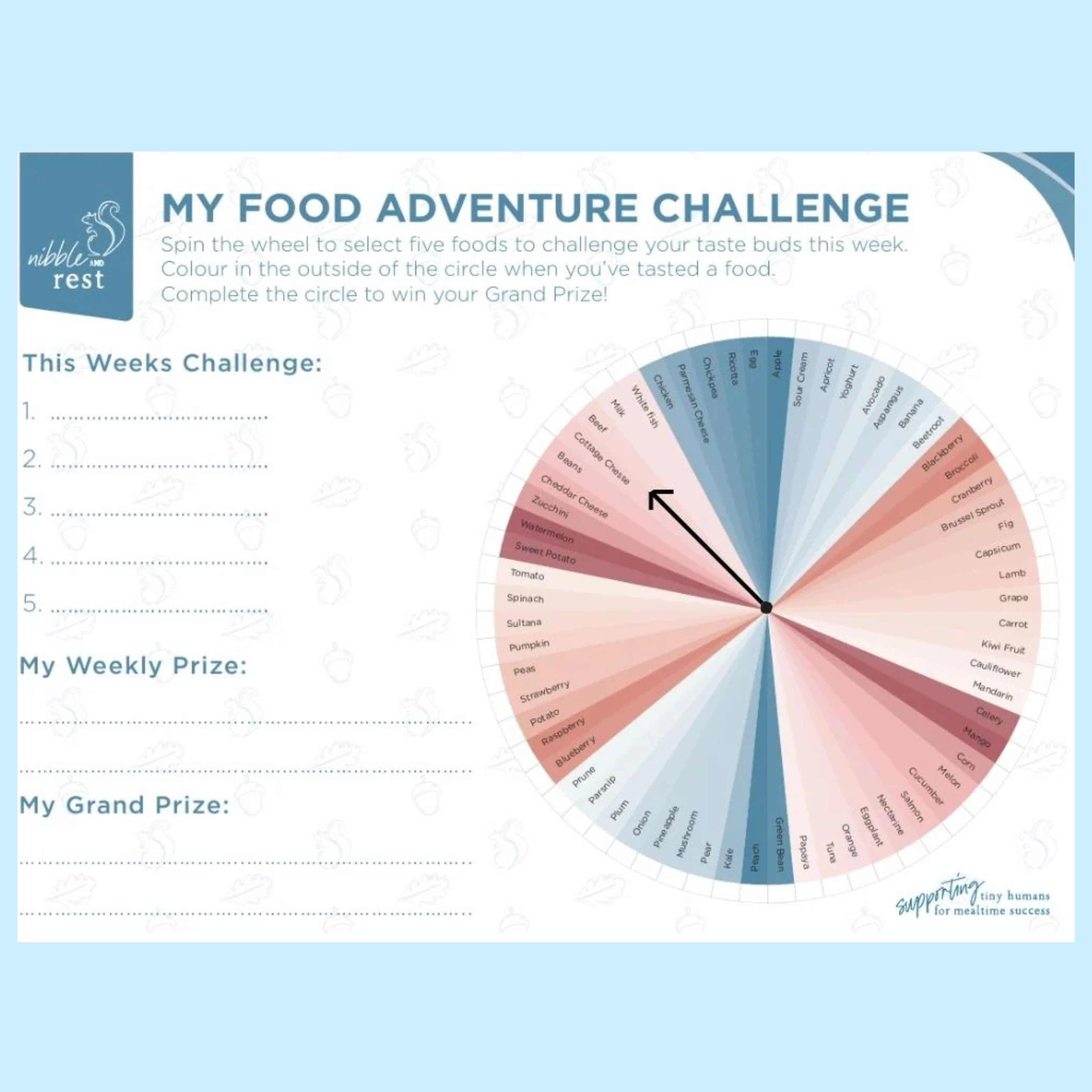 Food Adventure Challenge Fridge Magnet - Nibble & Rest