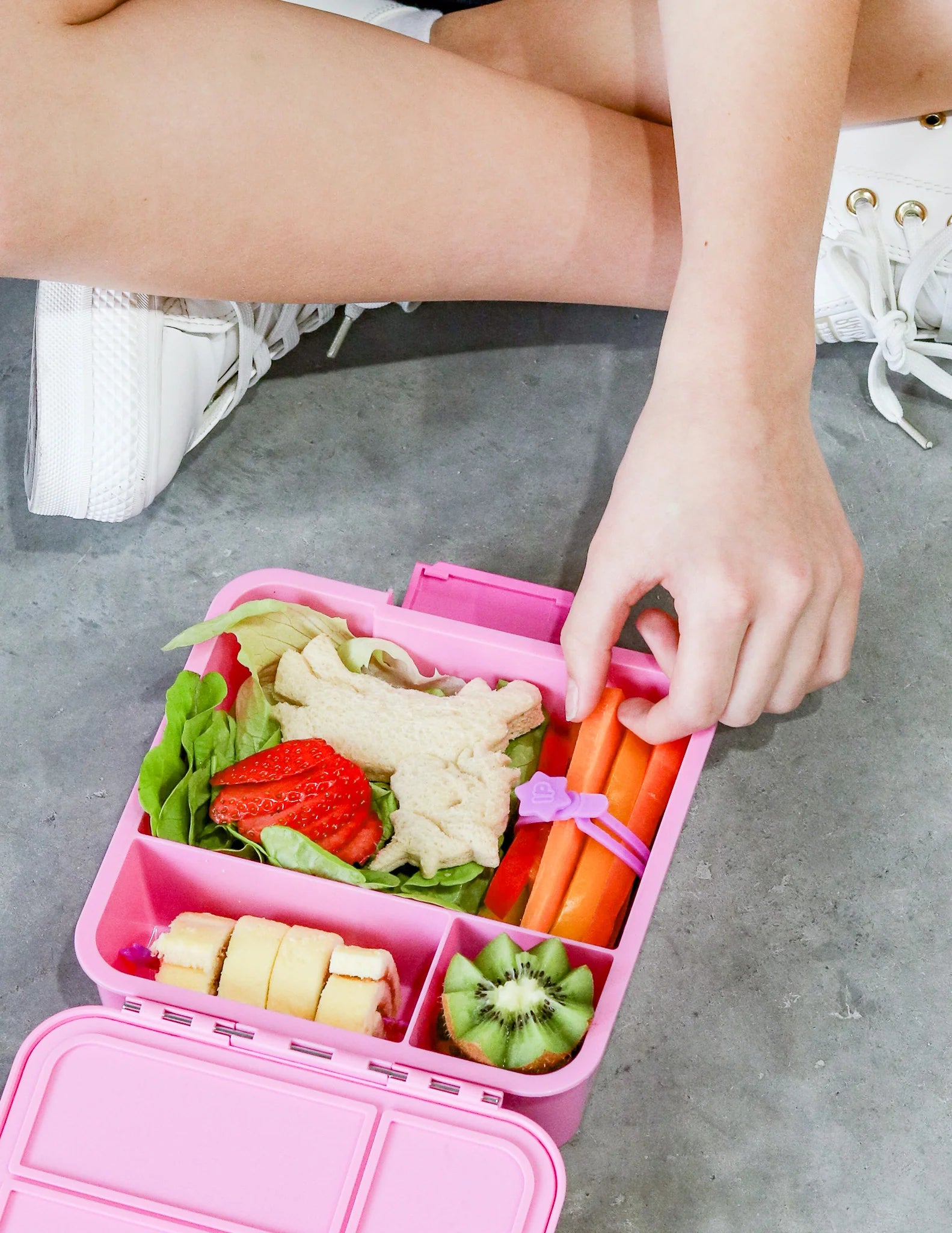 Blush Food Wrap Bands Pack - Lunch Punch