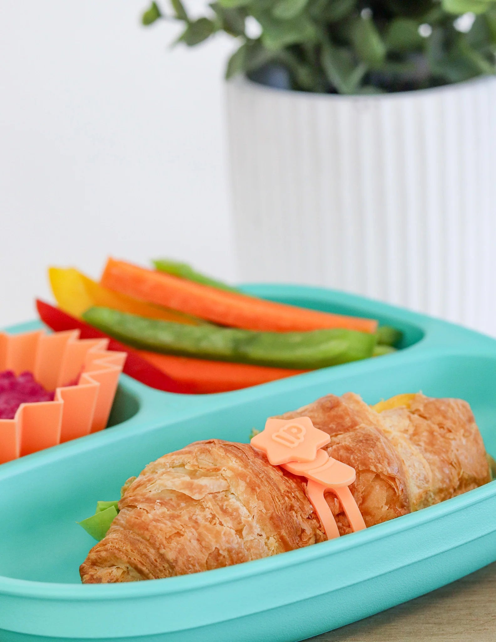 Brights Food Wrap Bands Pack - Lunch Punch